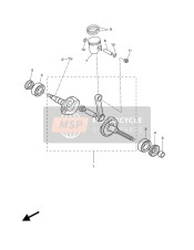 Albero motore & Pistone